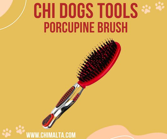 CHI Pets Porcupine Brush For Dogs